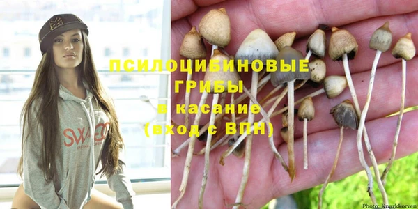 2c-b Бугульма